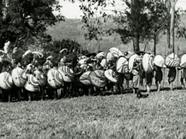 Des guerriers maasaïs en 1930