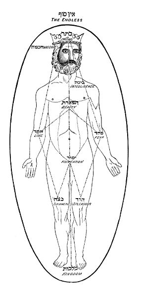 Représentation de l’Adam Qadmon, l’Adam primordial . Il s’agit en fait l’univers formé des dix émanations. Tiré de l’ouvrage américain de 1888 Qabbalah, par Isaac Myer.