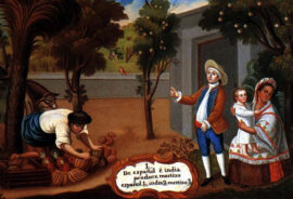 « De español é india produce mestizo »