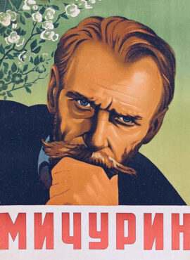 Affiche du film "Mitchourine", de Alexandre Dovjenko - Union Soviétique 1949
